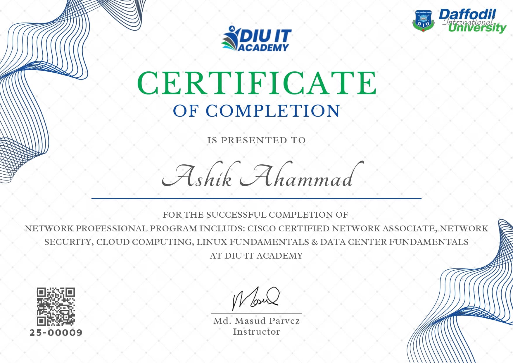 Network Professional